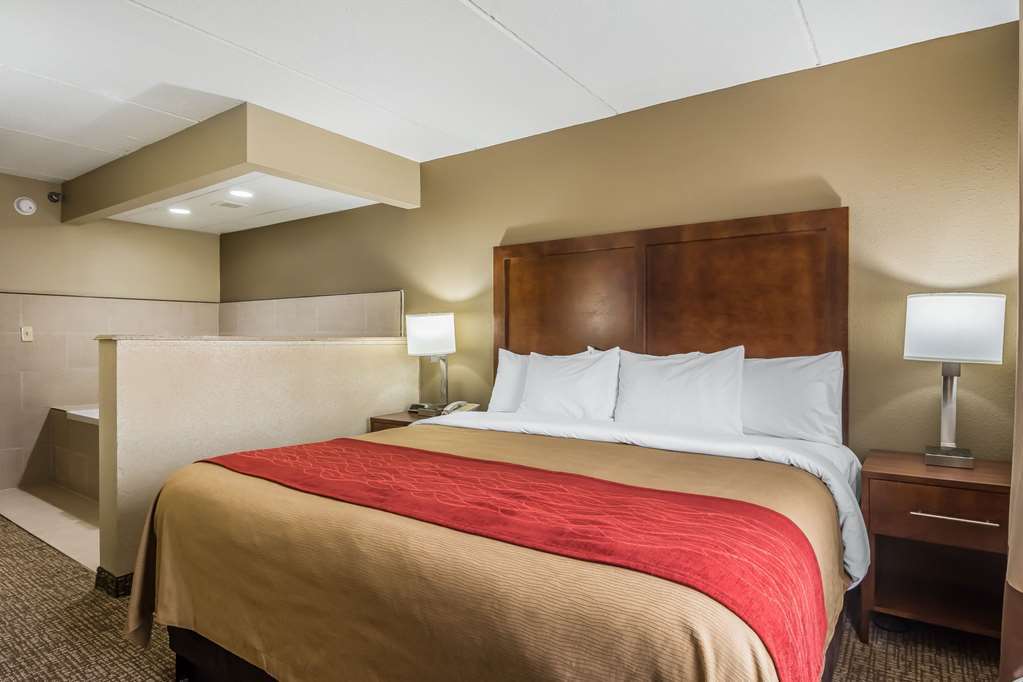 Comfort Inn & Suites Hamilton Place Chattanooga Kamer foto